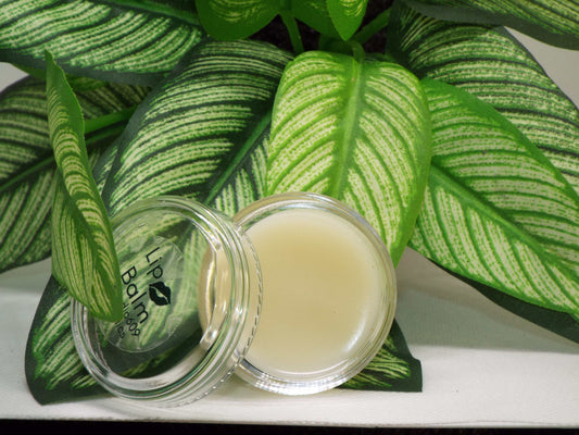 Coconut lip balm