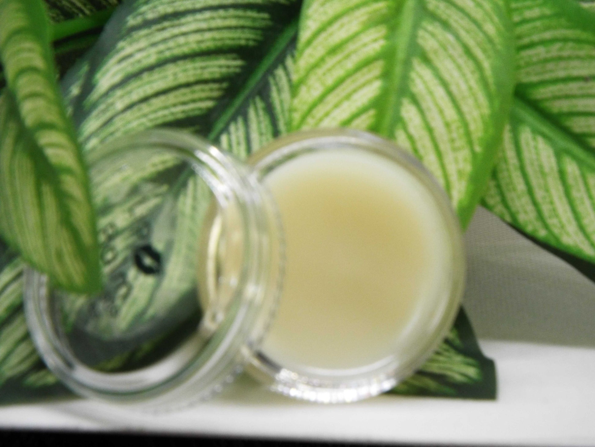 Coconut lip balm